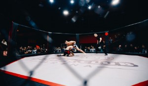 Khabib vs. McGregor: A Night of Raw Emotion at UFC 229