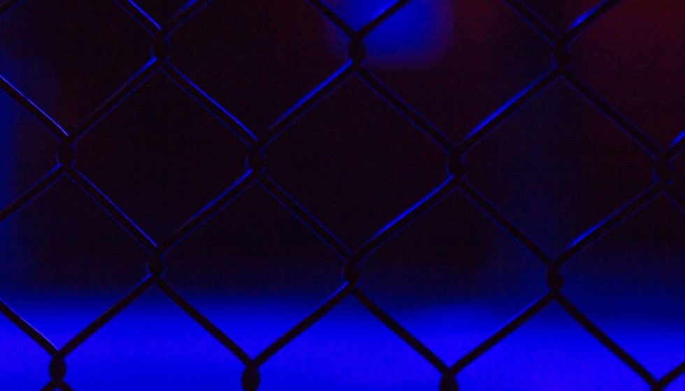 UFC Announces Bud Light as Official Sponsor in Historic Deal